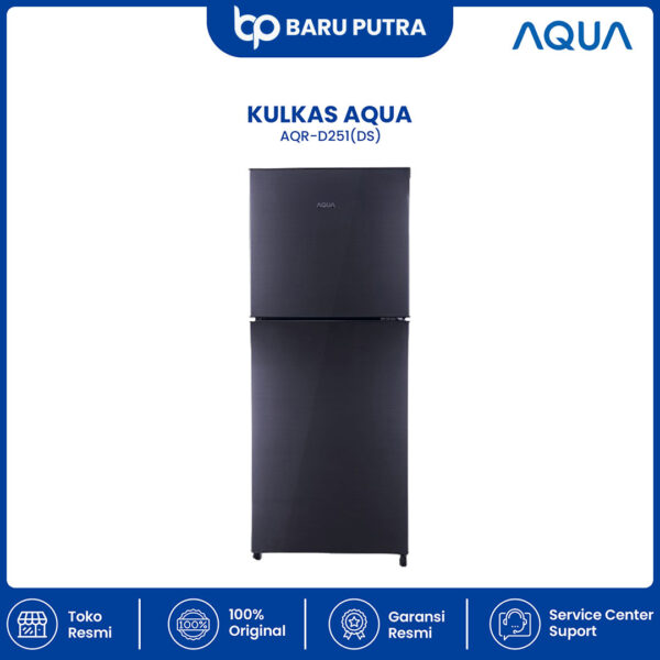 AQUA Elektronik AQR-D251